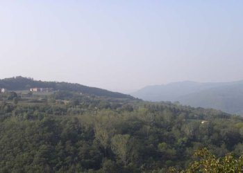 Foto 46 - Rustico Piovero, Cortemilia - foto 46