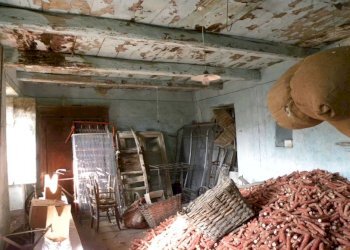 Foto 50 - Rustico Piovero, Cortemilia - foto 50