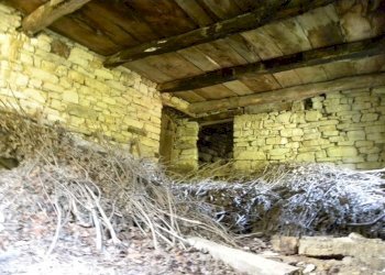 Foto 65 - Rustico Piovero, Cortemilia - foto 65