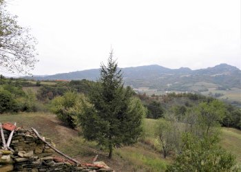 Foto 33 - Rustic Denice - photo 33