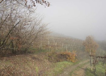 Foto 43 - Casa semi indipendente Via Castagna Bassa, 2, Calosso - foto 43