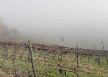 Foto 44 - Casa semi indipendente Via Castagna Bassa, 2, Calosso - foto 44