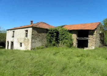 Foto 5 - Rustico Ruà, Castelletto Uzzone - foto 5