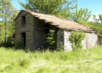 Foto 6 - Rustico Ruà, Castelletto Uzzone - foto 6