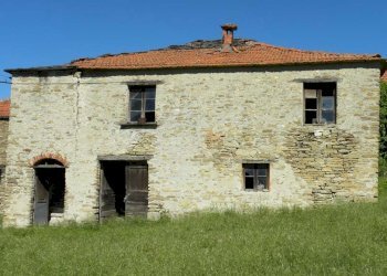 Foto 7 - Rustico Ruà, Castelletto Uzzone - foto 7