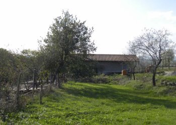 Foto 1 - Casa indipendente Dego - foto 1