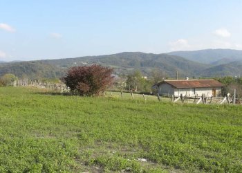 Foto 7 - Casa indipendente Dego - foto 7