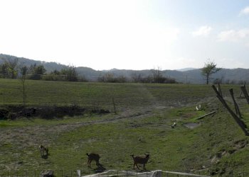 Foto 9 - Casa indipendente Dego - foto 9