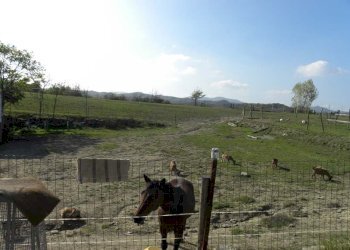 Foto 10 - Casa indipendente Dego - foto 10