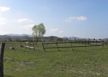 Foto 12 - Casa indipendente Dego - foto 12