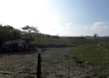 Foto 14 - Casa indipendente Dego - foto 14