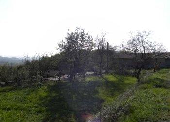 Foto 17 - Casa indipendente Dego - foto 17