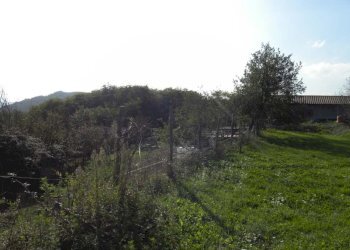 Foto 22 - Casa indipendente Dego - foto 22