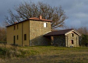 Foto 15 - Rustico nizè, Piana Crixia - foto 15