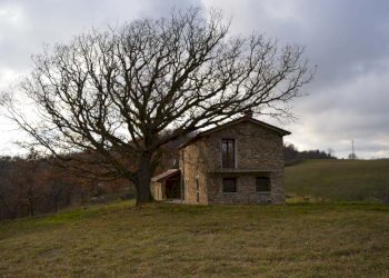 Foto 19 - Rustico nizè, Piana Crixia - foto 19