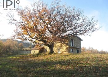 Foto 4 - Rustico nizè, Piana Crixia - foto 4