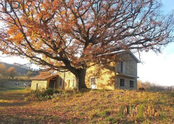 Foto 6 - Rustico nizè, Piana Crixia - foto 6