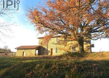 Foto 7 - Rustico nizè, Piana Crixia - foto 7