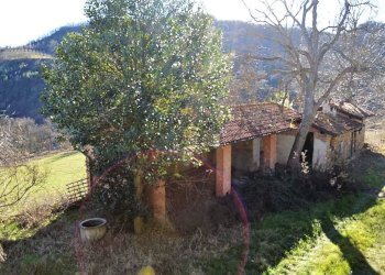 Foto 18 - Rustico lanzano, Spigno Monferrato - foto 18