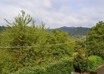 Foto 27 - Villa Cartosio - foto 27