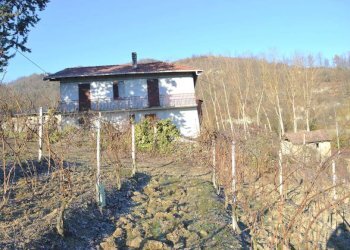 Foto 10 - Rustico Pre, 3, Loazzolo - foto 10