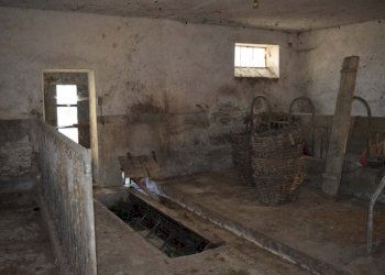 Foto 29 - Rustico Pre, 3, Loazzolo - foto 29