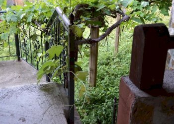 Foto 20 - Villa lameria, Giusvalla - foto 20