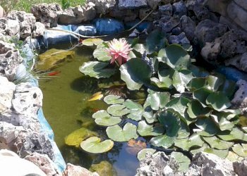 Foto 10 - Villa taglio, Piana Crixia - foto 10