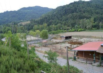 Foto 66 - Villa taglio, Piana Crixia - foto 66