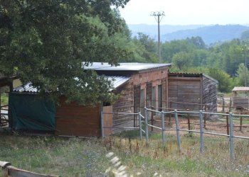 Foto 68 - Villa taglio, Piana Crixia - foto 68