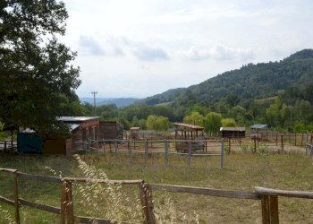 Foto 69 - Villa taglio, Piana Crixia - foto 69