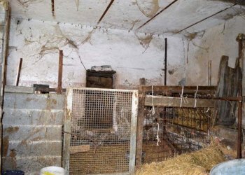 Foto 27 - Rustico Ferrere, Cairo Montenotte - foto 27