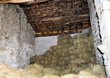 Foto 28 - Rustico Ferrere, Cairo Montenotte - foto 28