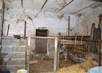 Foto 31 - Rustico Ferrere, Cairo Montenotte - foto 31