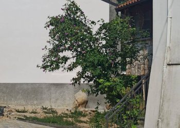 Foto 19 - Casa semi indipendente camponuovo, Roccavignale - foto 19