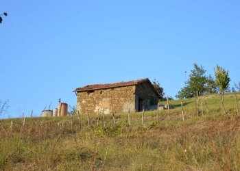 Foto 2 - Rustico Piana Crixia - foto 2