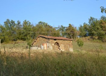 Foto 3 - Rustico Piana Crixia - foto 3