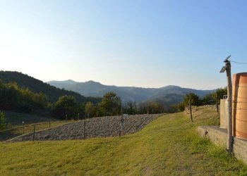 Foto 6 - Rustico Piana Crixia - foto 6