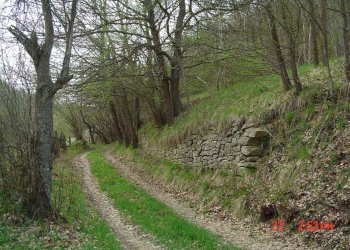 Foto 51 - Rustic FRAZ. MICHELONI, Mombarcaro - photo 51