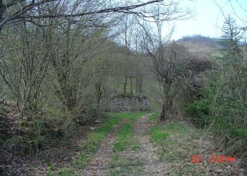 Foto 98 - Rustic FRAZ. MICHELONI, Mombarcaro - photo 98