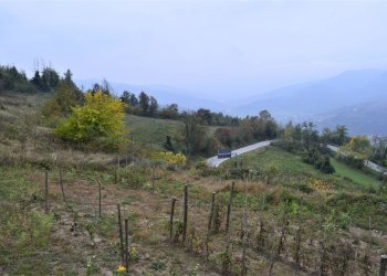 Foto 12 - Rustico via roma, Levice - foto 12