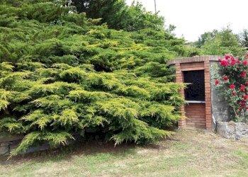 Foto 16 - Villa località Rossi
 
20, Piana Crixia - foto 16