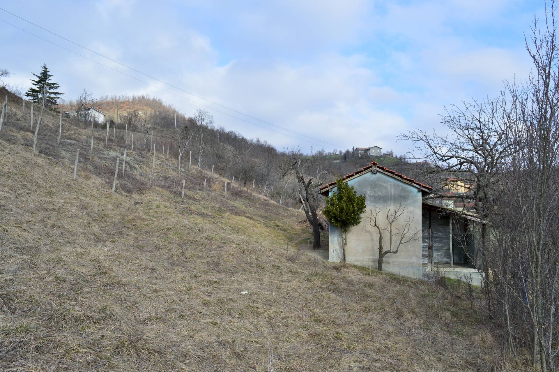 Foto 2 - Rustico ferrere, Cairo Montenotte - foto 2