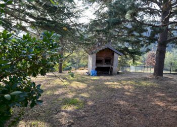 Foto 6 - Casa indipendente Piana Crixia - foto 6