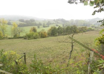 Foto 28 - Casa semi indipendente Centro - strada provinciale, Pareto - foto 28