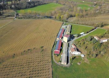 Foto 3 - Capannone Spigno Monferrato - foto 3