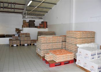 Foto 7 - Capannone Spigno Monferrato - foto 7