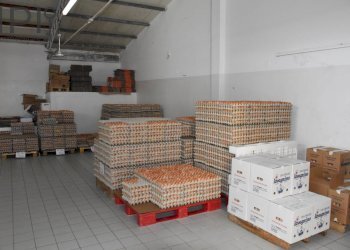 Foto 8 - Capannone Spigno Monferrato - foto 8