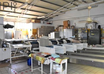 Foto 9 - Capannone Spigno Monferrato - foto 9