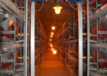 Foto 13 - Capannone Spigno Monferrato - foto 13